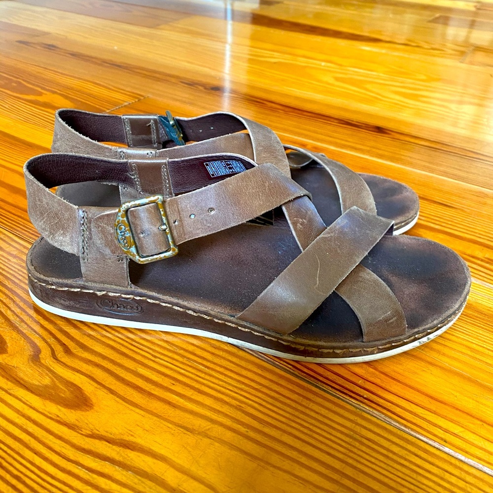 Otter Chaco